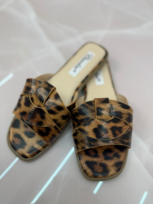CIABATTA LEOPARD